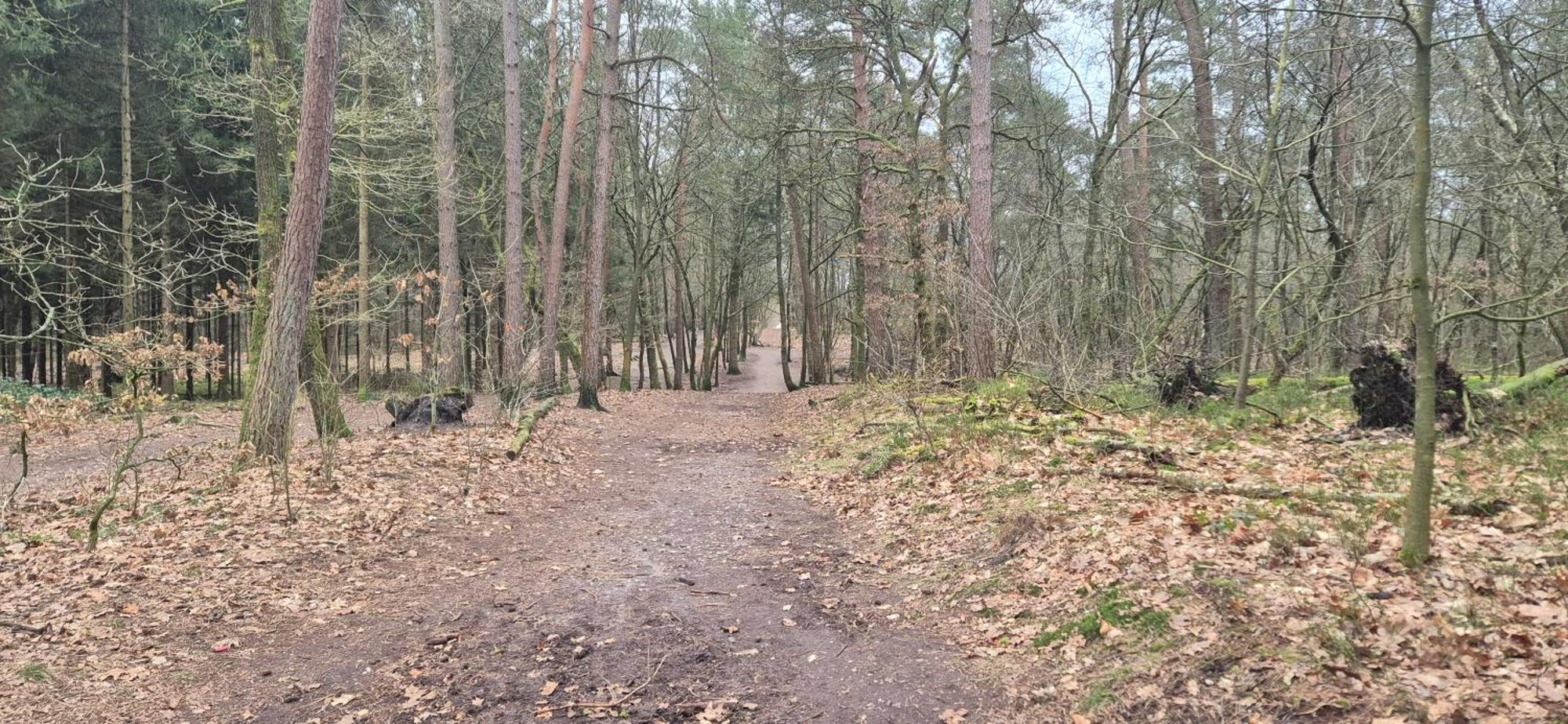 Het Veluwse Boshuisje Knus Chalet Met Omheinde Tuin Op De Veluwe هونديرلو المظهر الخارجي الصورة