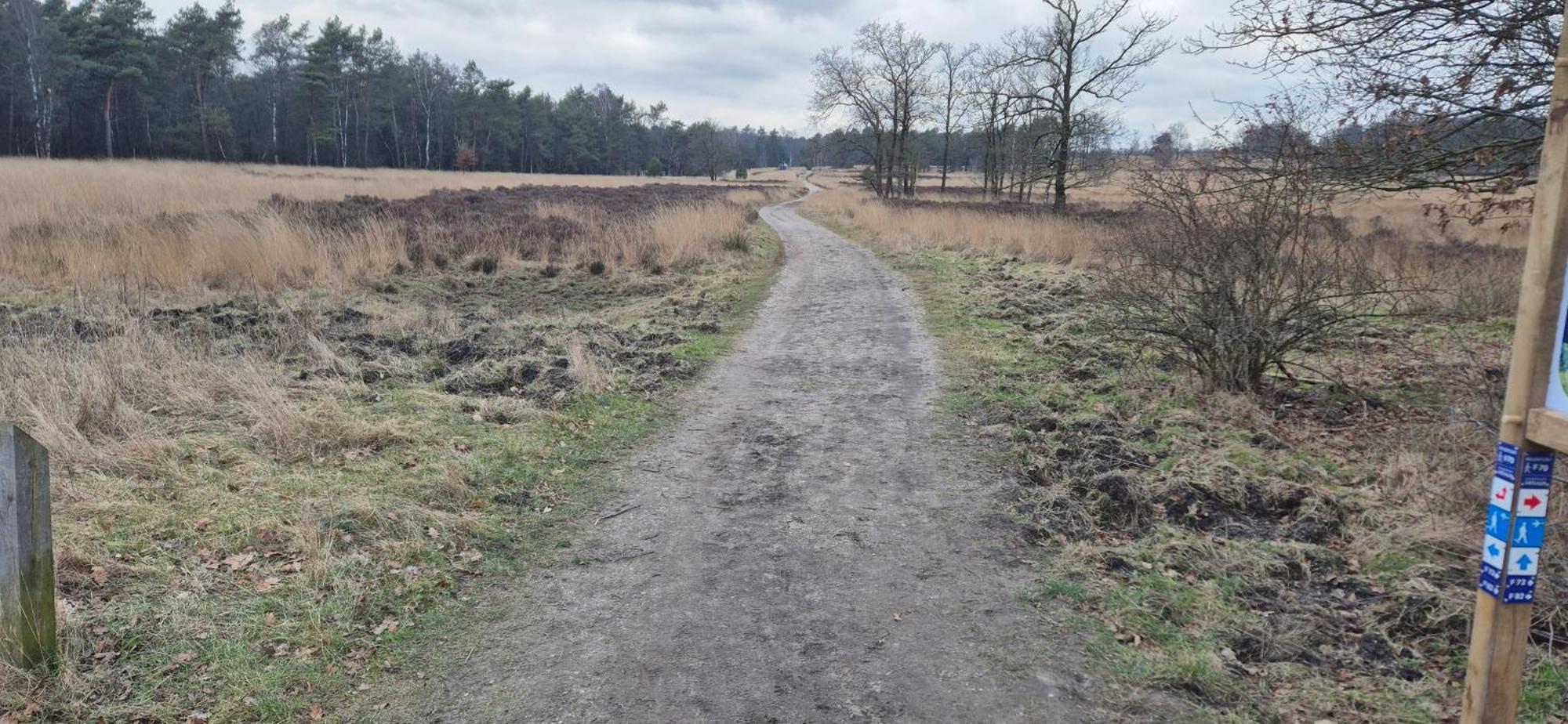 Het Veluwse Boshuisje Knus Chalet Met Omheinde Tuin Op De Veluwe هونديرلو المظهر الخارجي الصورة