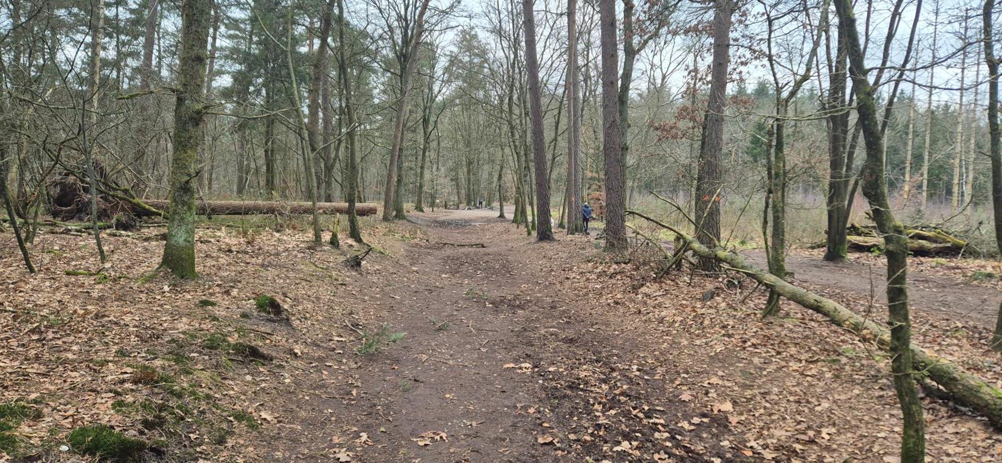 Het Veluwse Boshuisje Knus Chalet Met Omheinde Tuin Op De Veluwe هونديرلو المظهر الخارجي الصورة