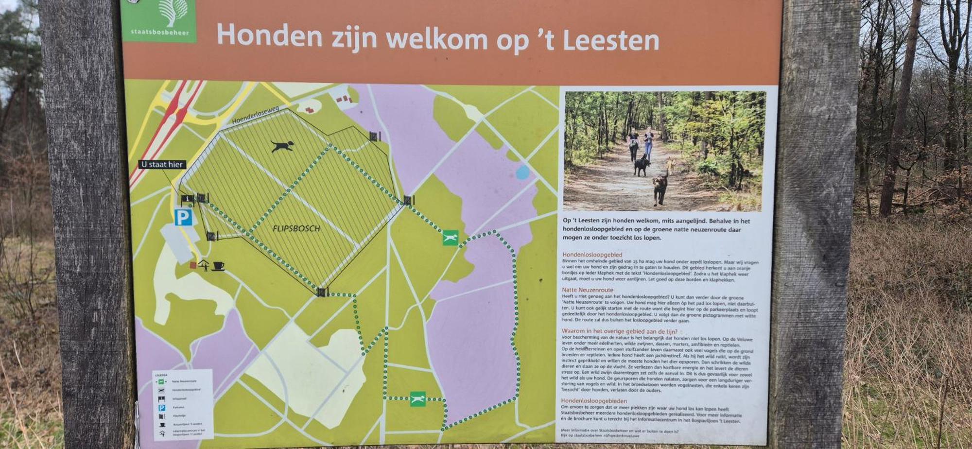 Het Veluwse Boshuisje Knus Chalet Met Omheinde Tuin Op De Veluwe هونديرلو المظهر الخارجي الصورة