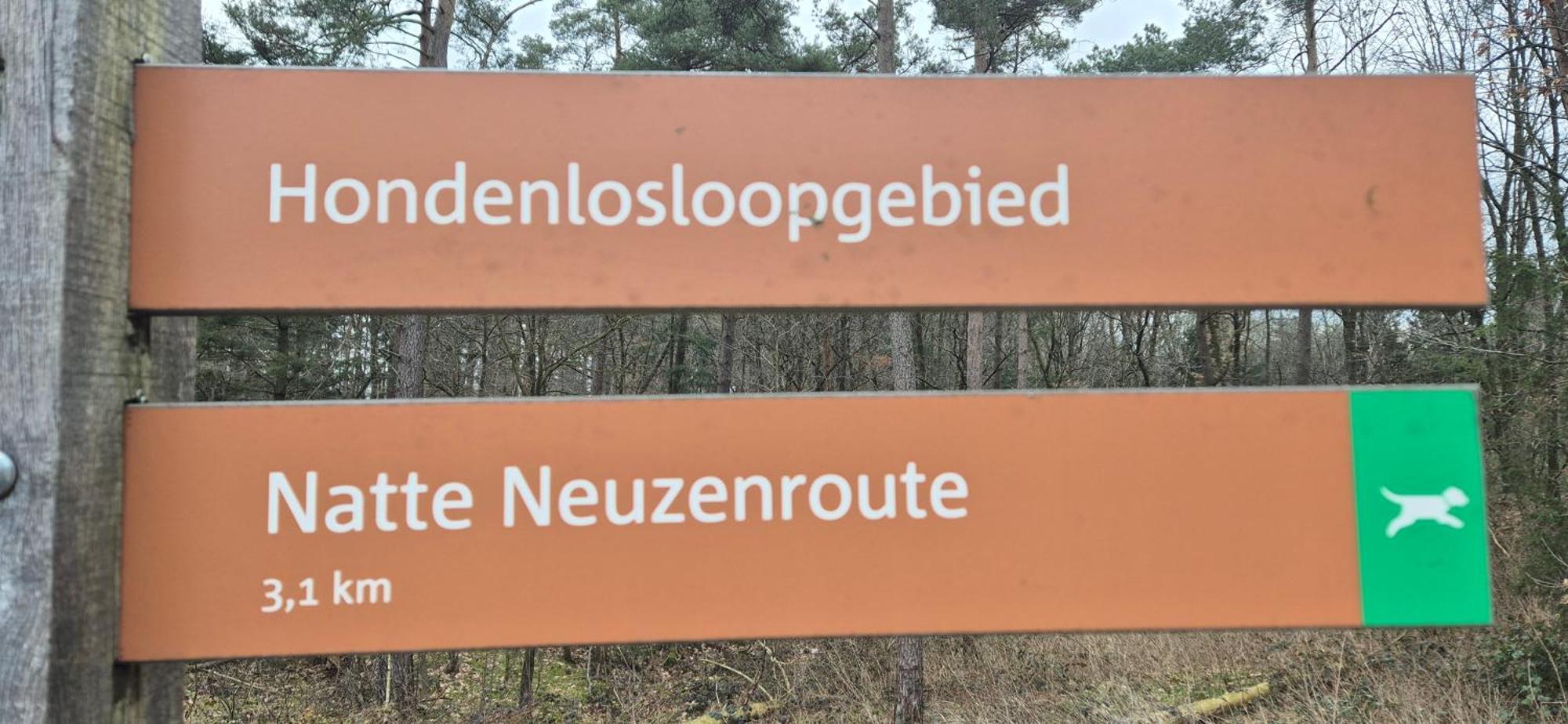 Het Veluwse Boshuisje Knus Chalet Met Omheinde Tuin Op De Veluwe هونديرلو المظهر الخارجي الصورة