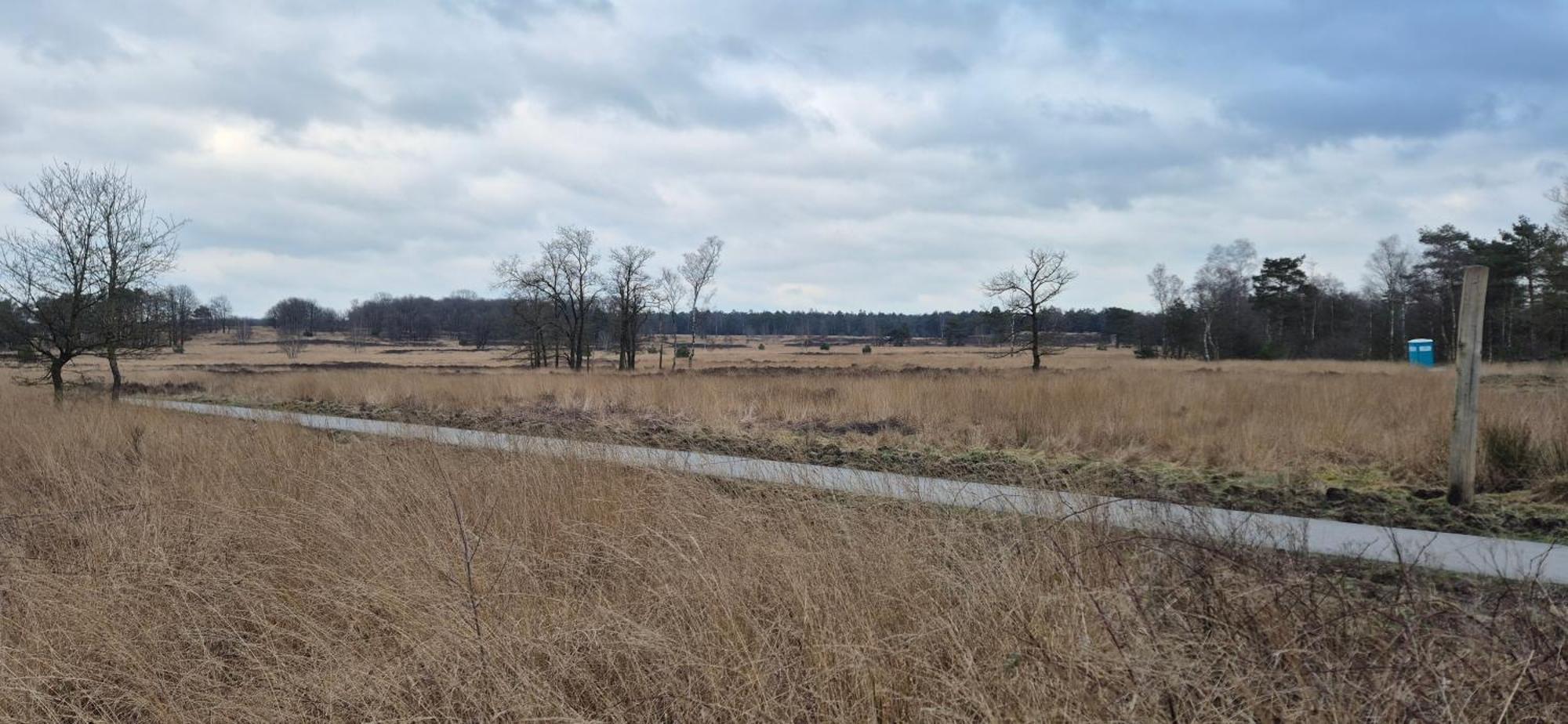 Het Veluwse Boshuisje Knus Chalet Met Omheinde Tuin Op De Veluwe هونديرلو المظهر الخارجي الصورة